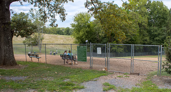 Off-Leash Dog Area at Memorial Park